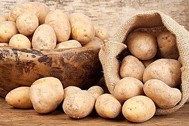 《吸血鬼：避世血族2》IGN 7分 令人又爱又恨